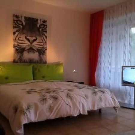 Palazzo Ascolago Nr- 27 By Interhome Ascona